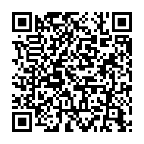 QR code for IUI 493