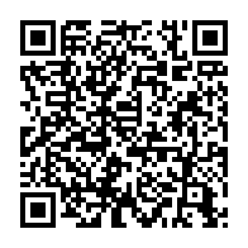 QR code for IUI 528