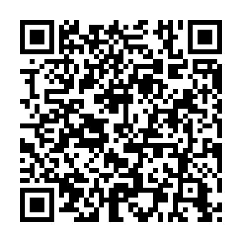 QR code for IVR 173