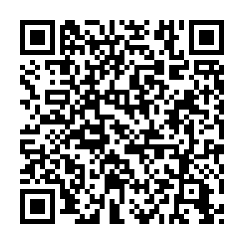 QR code for IXI 991