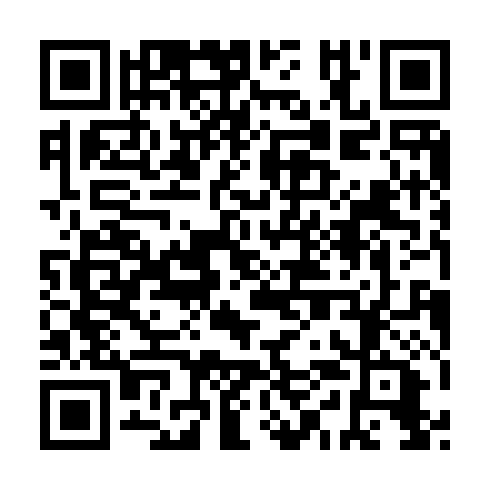 QR code for IYE 333