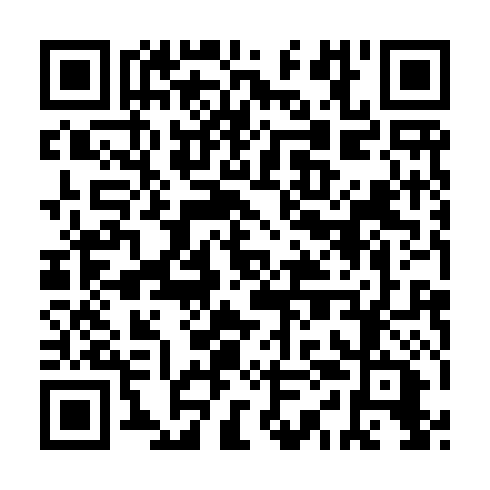 QR code for IYN 919