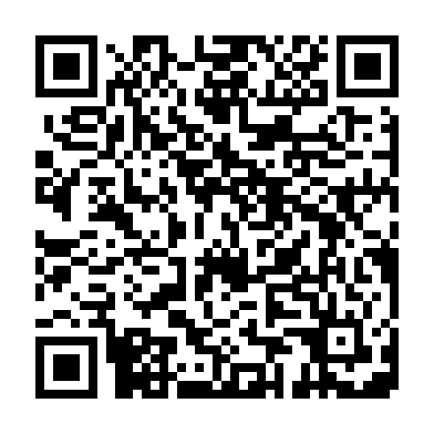 QR code for JAL 289
