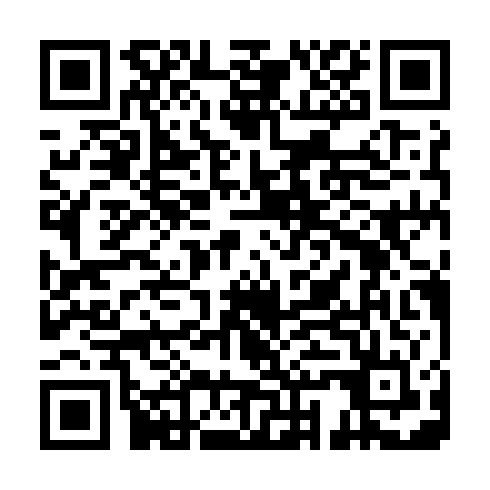 QR code for JNN 386