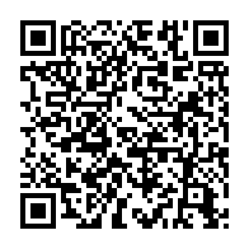 QR code for JPP 919