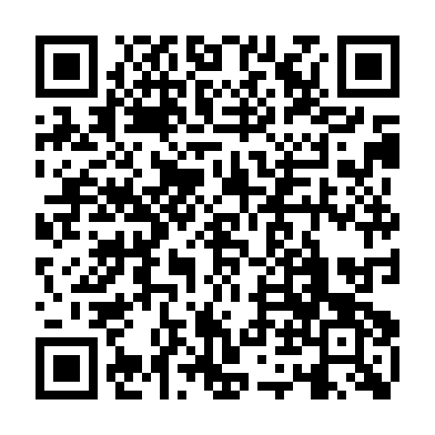 QR code for plate KKN 029
