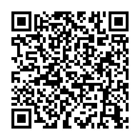 QR code for LAM 919