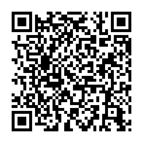 QR code for LDC 493