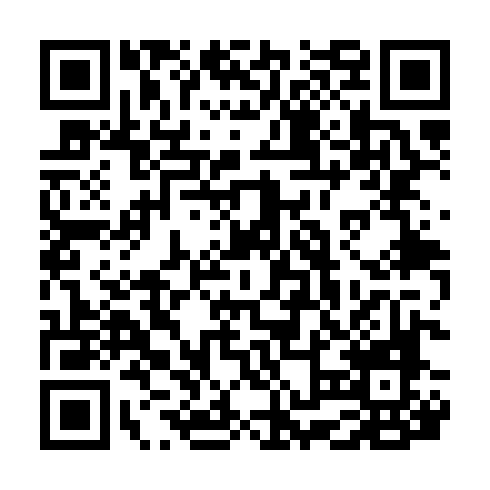 QR code for LDL 313