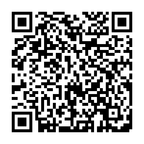 QR code for LDV 995