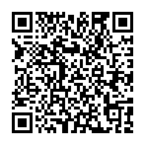 QR code for LEL 295