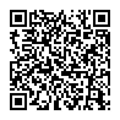 QR code for plate LEM 063