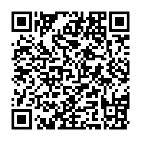 QR code for plate LFE 385