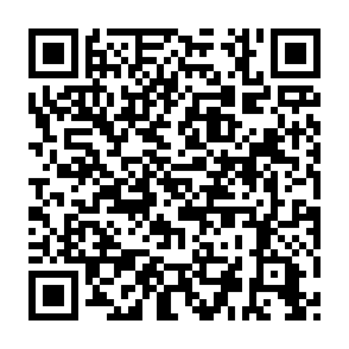 QR code for plate LFV 028
