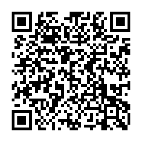 QR code for LFZ 951