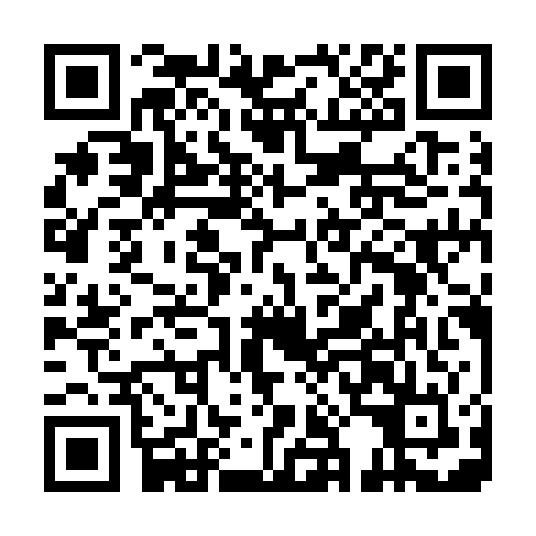 QR code for LGS 295