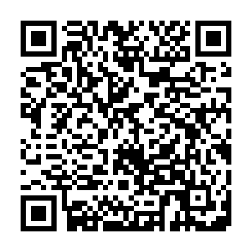 QR code for LHN313