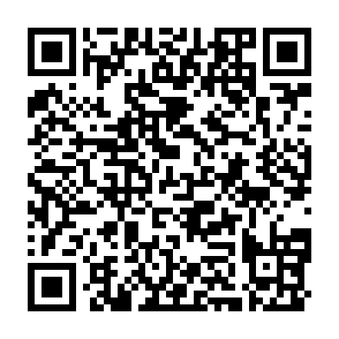 QR code for LHV 311