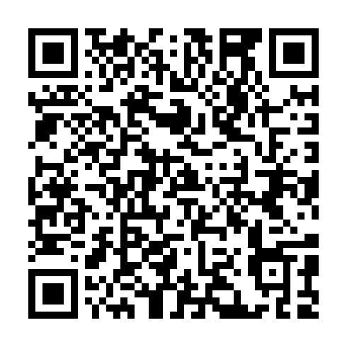 QR code for LIA 295