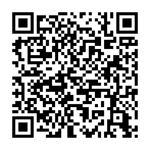QR code for LIE 494