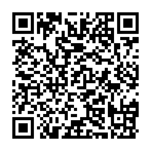 QR code for LIE 951