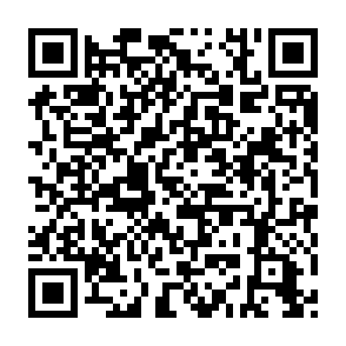 QR code for LIG 593