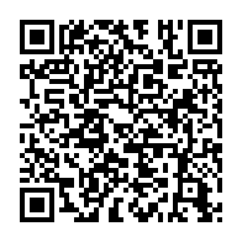 QR code for plate LIL 319