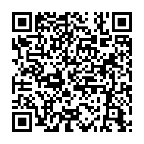 QR code for LIR 217