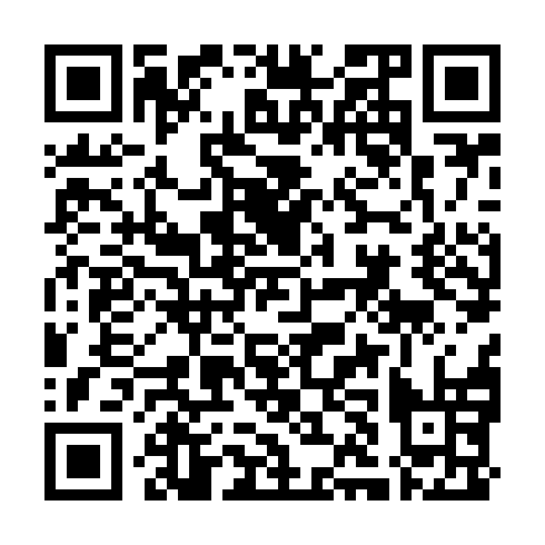 QR code for LIR 463