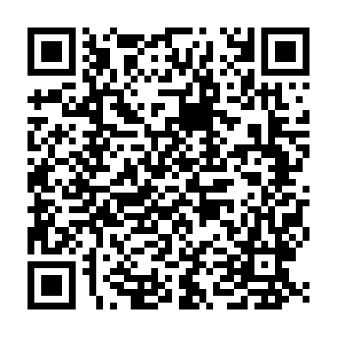 QR code for LIU 234