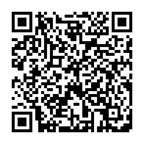 QR code for plate LMK 294