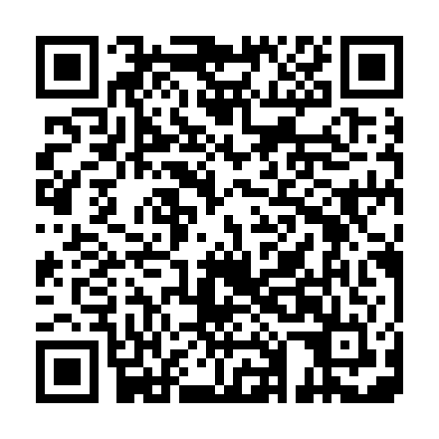 QR code for LMN 295