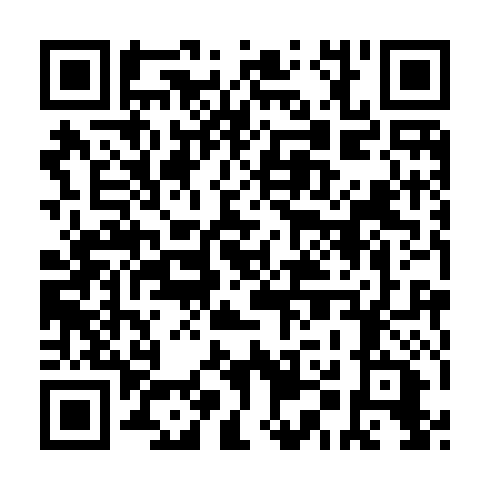 QR code for plate LMT 597