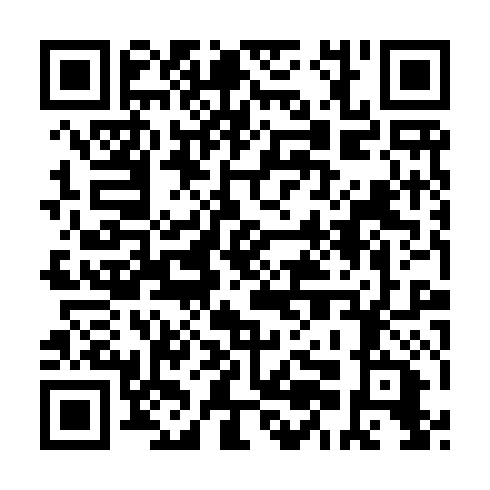 QR code for plate LOG 509
