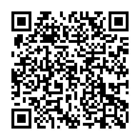 QR code for LRL295
