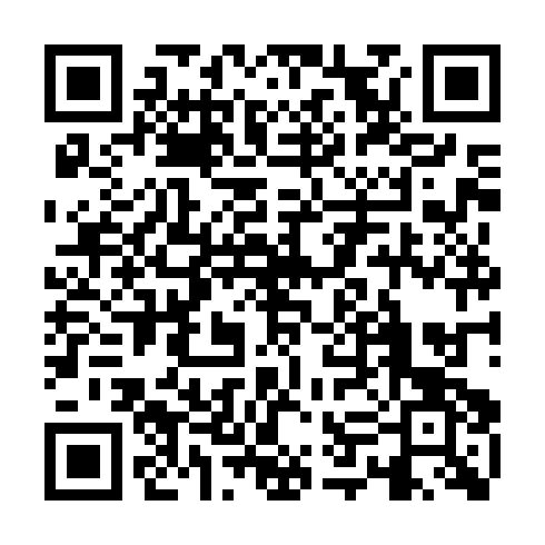 QR code for LRR 295