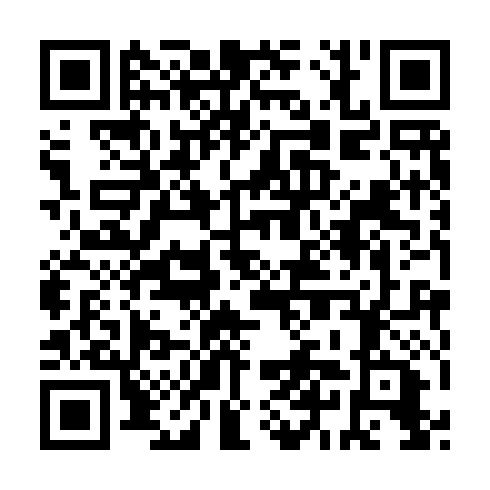 QR code for LSE 491