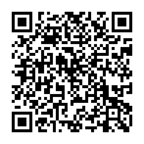 QR code for LSI 428