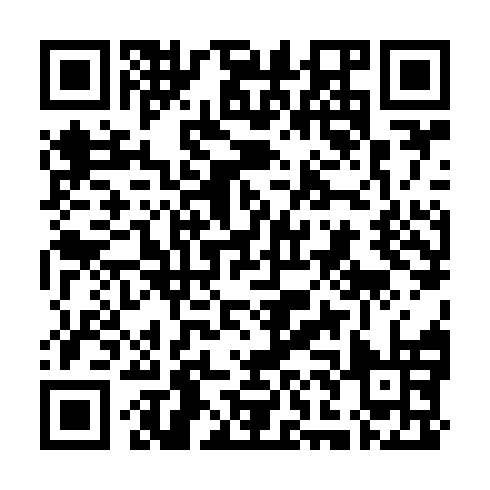 QR code for LSV 771
