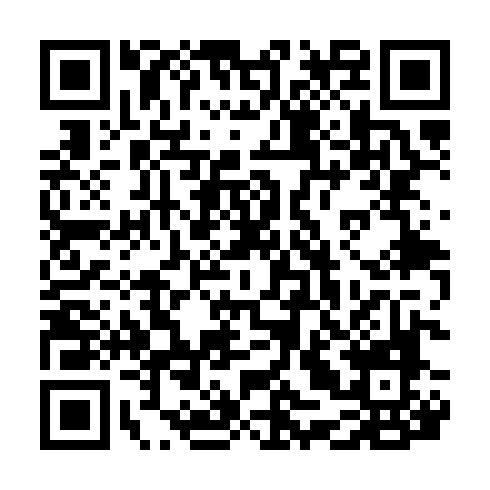 QR code for LSX 413