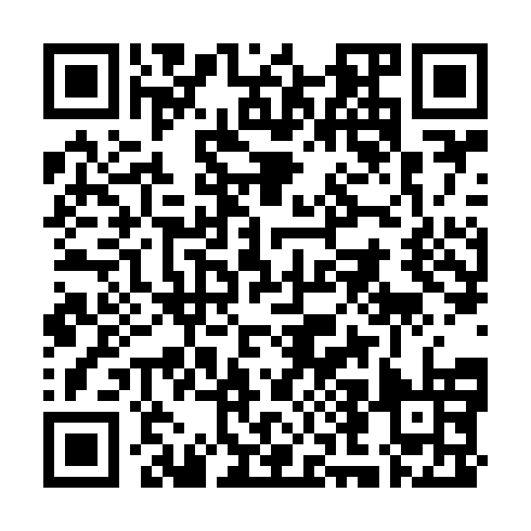 QR code for LUA311