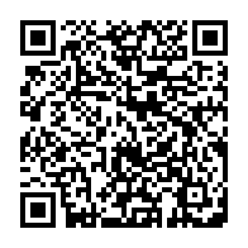 QR code for LUN 595