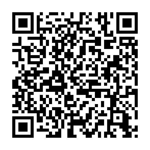QR code for LUS 161