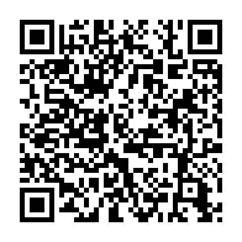 QR code for LUZ 487