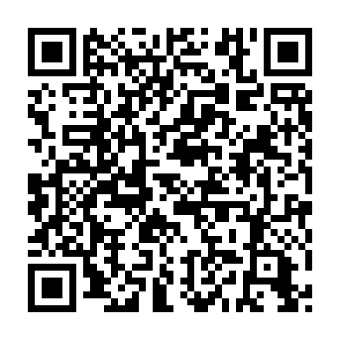 QR code for LYA 991