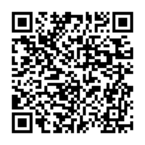 QR code for plate LYO 336