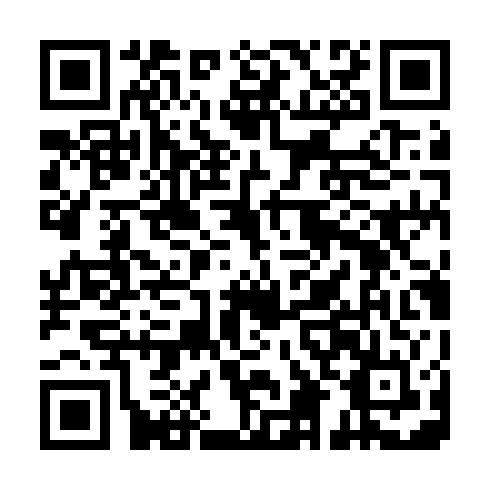 QR code for plate LYX 600