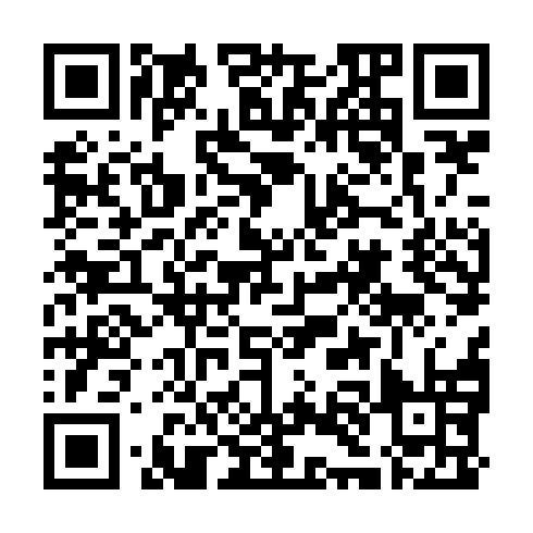 QR code for LYZ 868