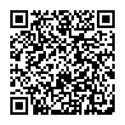 QR code for LZI 539