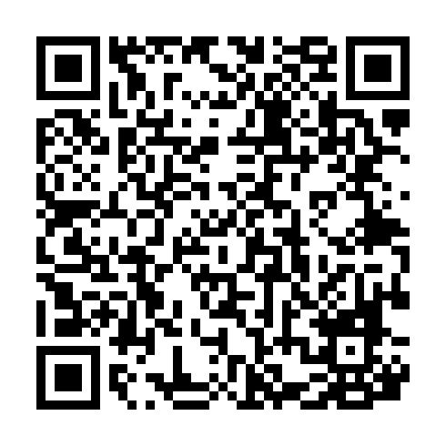 QR code for LZN 381
